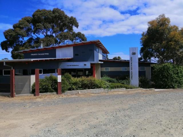 Swansea Backpacker Lodge Экстерьер фото